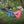 Load image into Gallery viewer, Circle Y Day Trip Hammock
