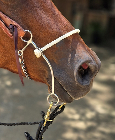 Josey Million Dollar LS Hackamore
