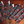 Load image into Gallery viewer, Cactus Tails Mane Bags (set of 8)