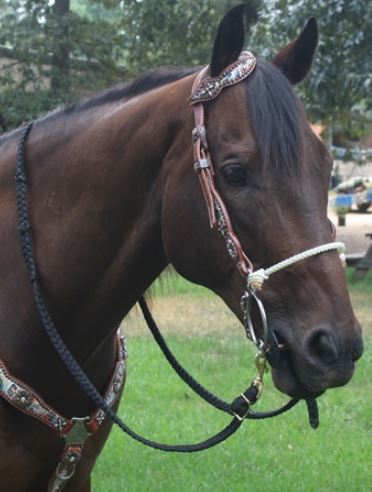 Josey O-Ring Combination Copper Mullen