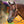Load image into Gallery viewer, Profesional's Choice Bob Avila Double Buckle HS with Double O-ring