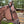 Load image into Gallery viewer, Haydock Nylon One Eared Headstall