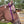 Load image into Gallery viewer, Haydock Nylon One Eared Headstall
