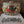 Load image into Gallery viewer, Josey Ranch Buckle- Logo