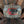 Load image into Gallery viewer, Josey Ranch Buckle- Logo