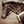 Load image into Gallery viewer, Classic Equine Loomis One Eared HS with Draw Gag Bit