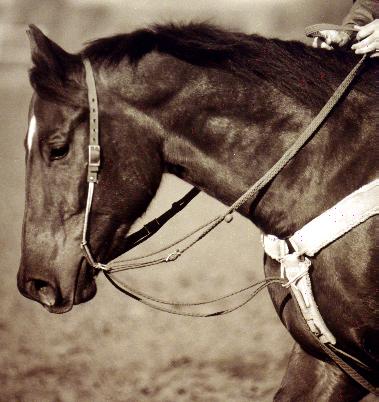 Classic Equine Loomis One Eared HS with Draw Gag Bit
