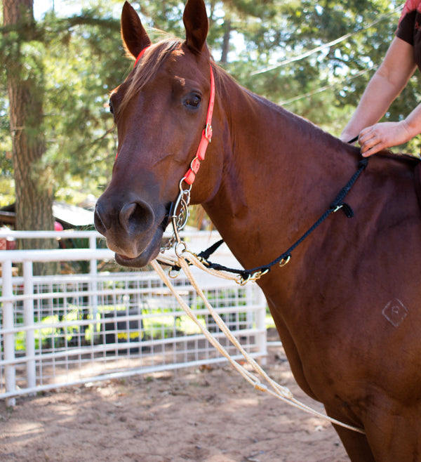 Haydock Nylon One Eared Headstall