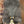 Load image into Gallery viewer, 14.5 JOSEY MITCHELL LIGHTWEIGHT LIGHTSPEED 202516149
