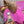 Load image into Gallery viewer, 12 MARTHA JOSEY LIGHTSPEED&quot;
