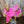 Load image into Gallery viewer, 12 MARTHA JOSEY LIGHTSPEED&quot;
