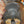 Load image into Gallery viewer, 14" Josey Cash Rancher 20262936
