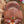 Load image into Gallery viewer, 14" Mitchell Renegade Copperhead 20263678
