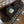 Load image into Gallery viewer, 12" Josey- Mitchell Get the Money Lightweight  20263846
