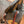 Load image into Gallery viewer, 13.5 Josey Cash Rancher 2026947 Wide
