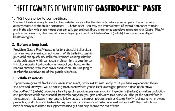 MVP Gastro-Plex Paste-80ml