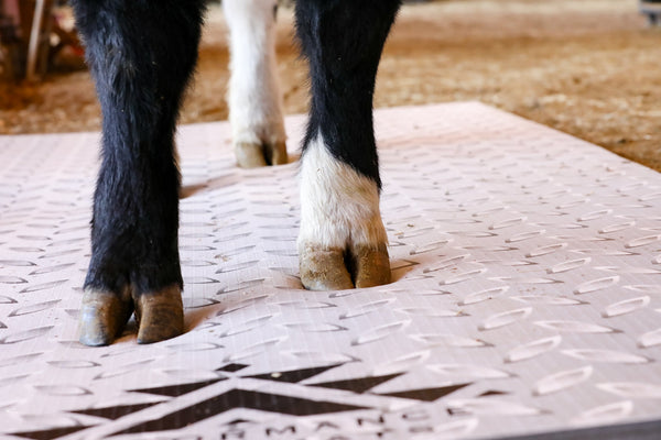Portable Stall Mat Diamond Plate Design 5x10