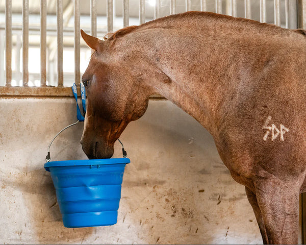 Josey Ranch Collapsible Buckets by Boss Buckets