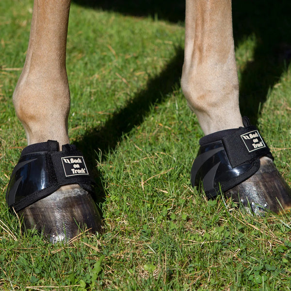 Back on Track Performance Bell Boots
