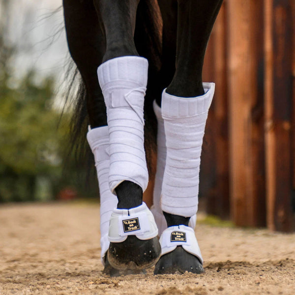 Back on Track Performance Bell Boots