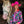 Load image into Gallery viewer, Hot Pink Floral Stretch Midweight Jersey Pullover Button Up
