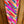Load image into Gallery viewer, Cactus Tails Standard Tail Bags
