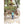 Load image into Gallery viewer, Kids Get Western Socks
