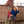 Load image into Gallery viewer, Bad Cowgirl Co. CO Branded Performance Boot Socks

