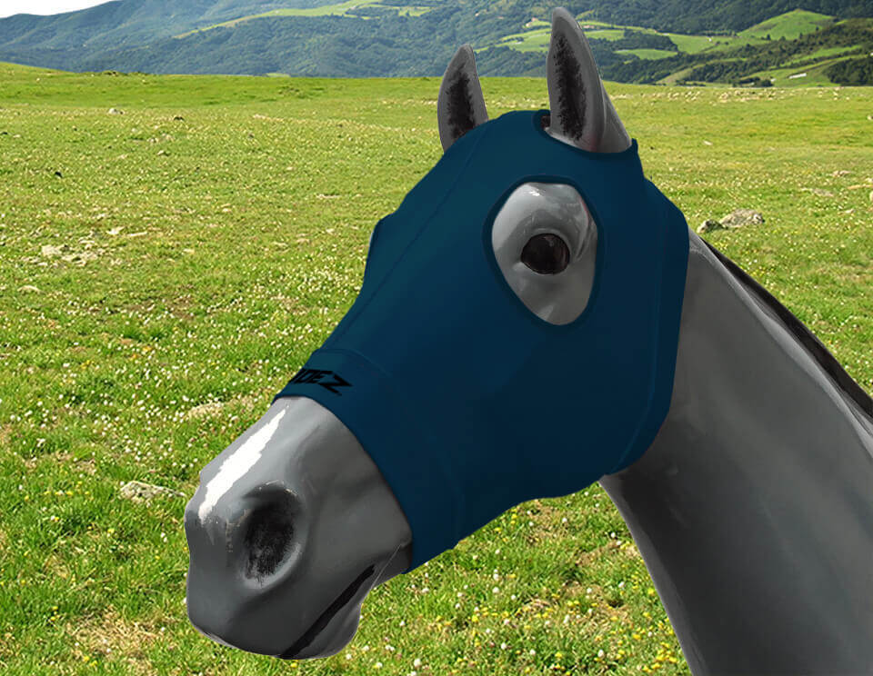 【馬革】 type Ａ-２（３８）HORSE HIDE s-l400.jpg