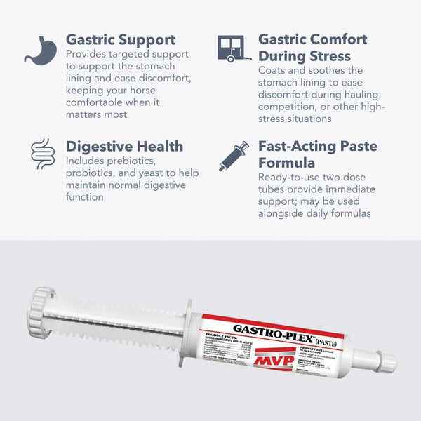 MVP Gastro-Plex Paste-80ml