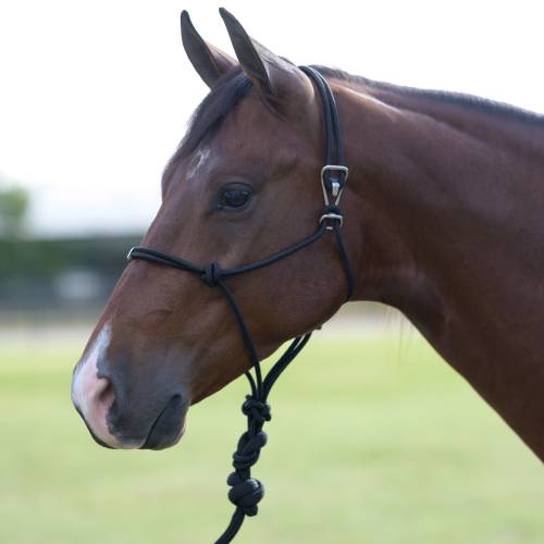 Easy on Rope Halter