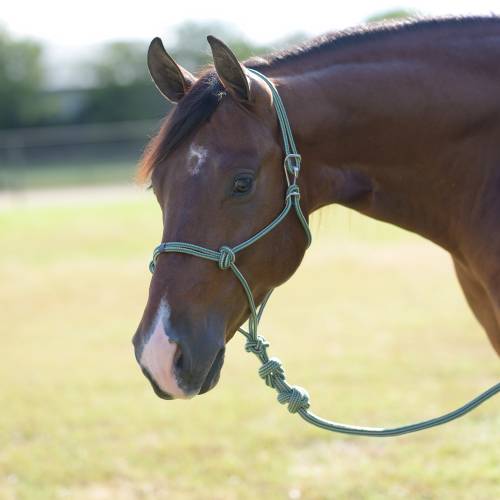 Easy on Rope Halter