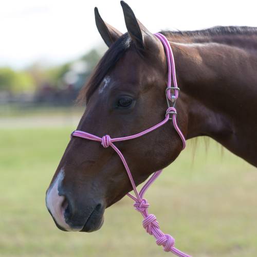 Easy on Rope Halter