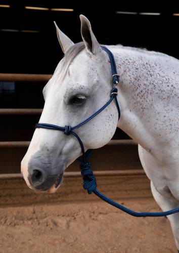 Easy on Rope Halter