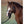Load image into Gallery viewer, Easy on Rope Halter (Pony)
