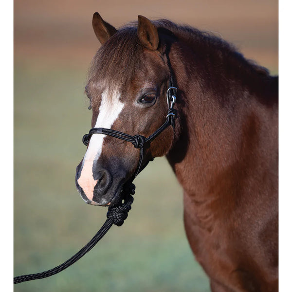 Easy on Rope Halter (Pony)