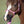 Load image into Gallery viewer, Easy on Rope Halter (Pony)
