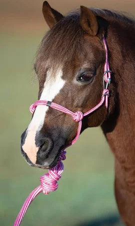 Easy on Rope Halter (Pony)