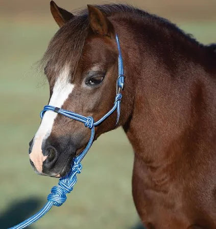 Easy on Rope Halter (Pony)