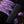 Load image into Gallery viewer, Hay Chix 1/2 Bale Net

