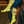 Load image into Gallery viewer, Cactus Alley-Chicken Roping Yellow Performance Boot Socks
