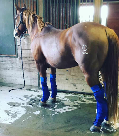 Hidez Compression ICE Socks