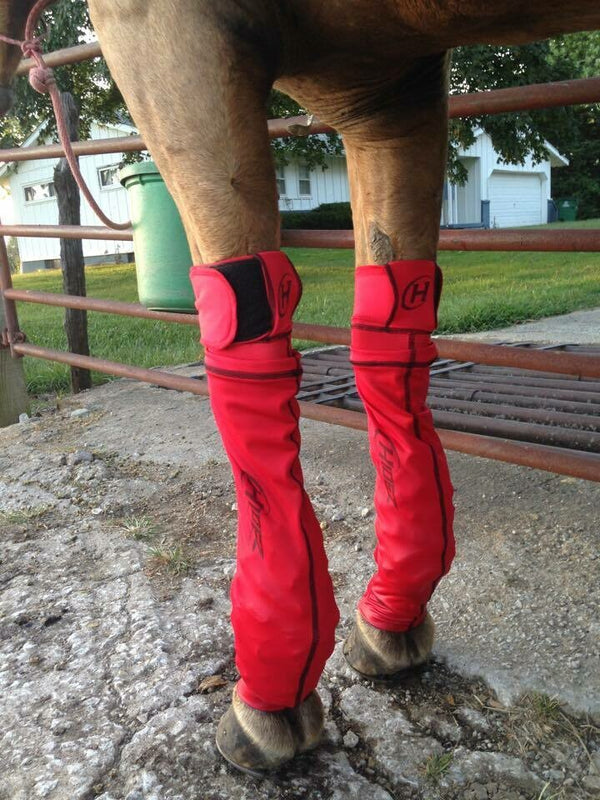 Hidez Compression ICE Socks