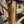 Load image into Gallery viewer, Martin Single Ear Headstall w/ Blood Knots
