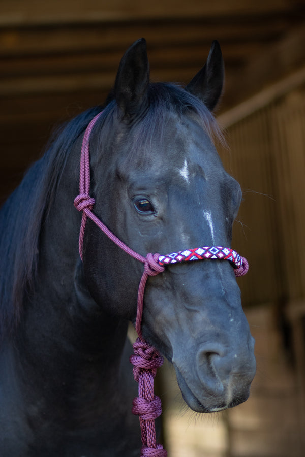 Professionals Choice Beaded Rope Halters