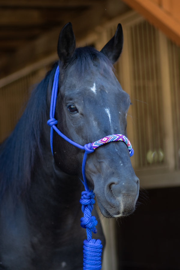 Professionals Choice Beaded Rope Halters