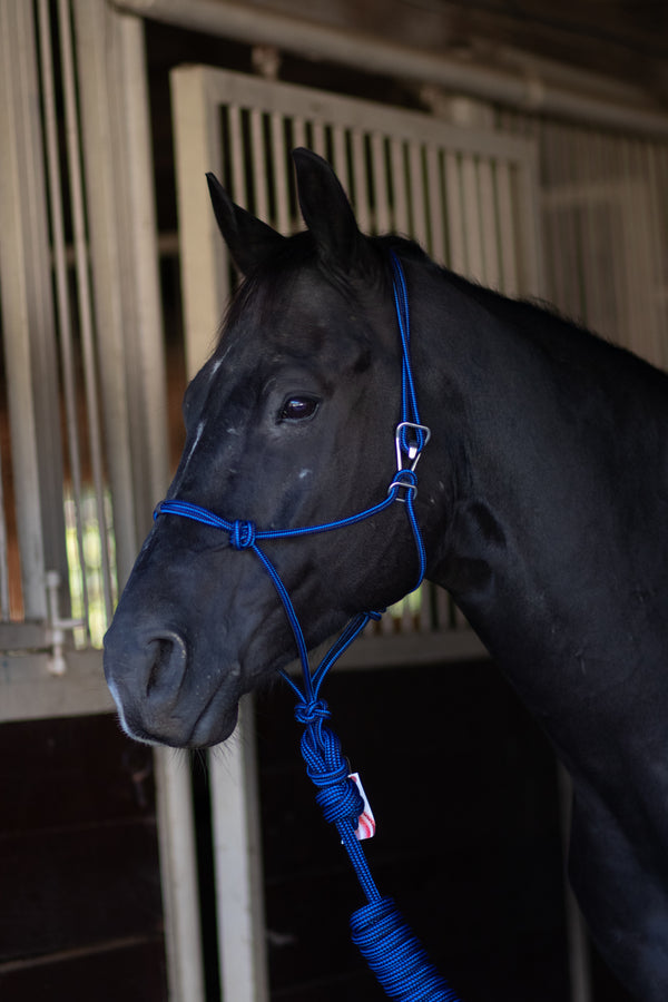 Professionals Choice Rope Halter with Quick Release Hook