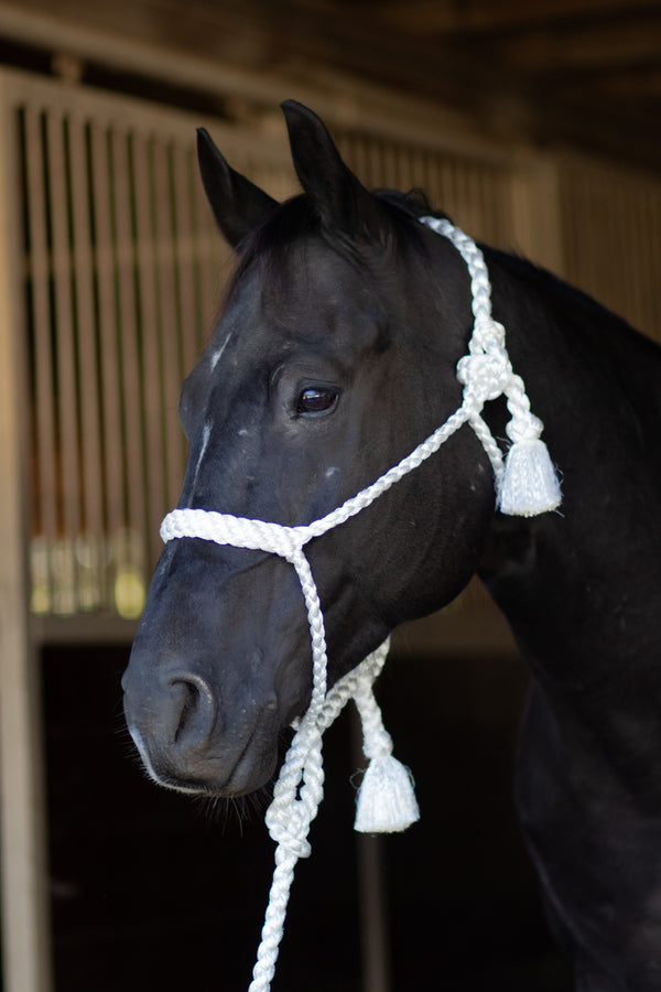 Professionals' Choice Hand Braided Mule Tape Halters