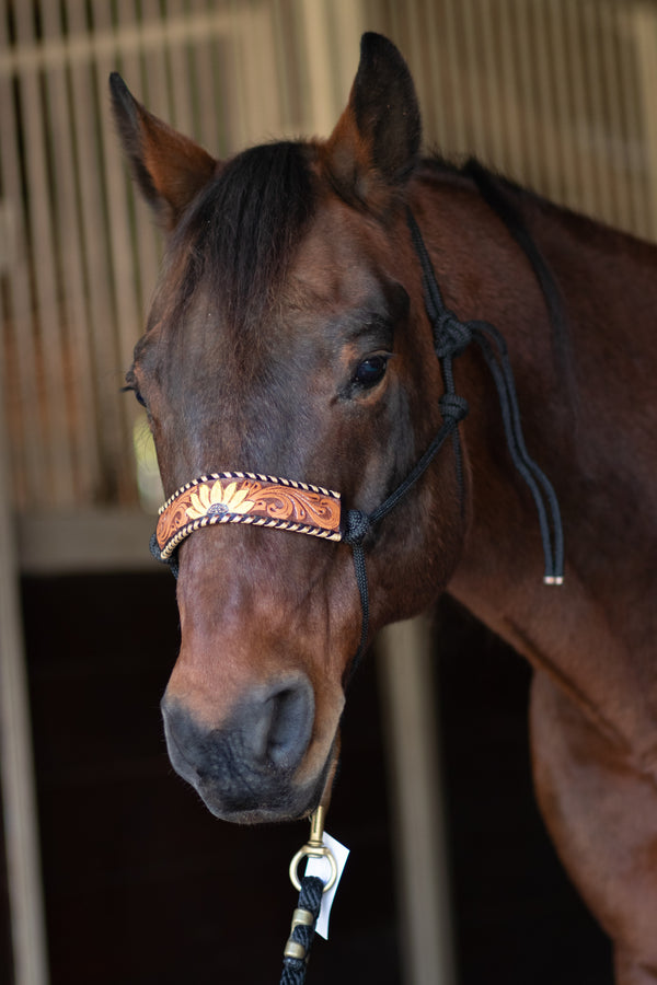 Black Rope Halters with Leather Nose Bands