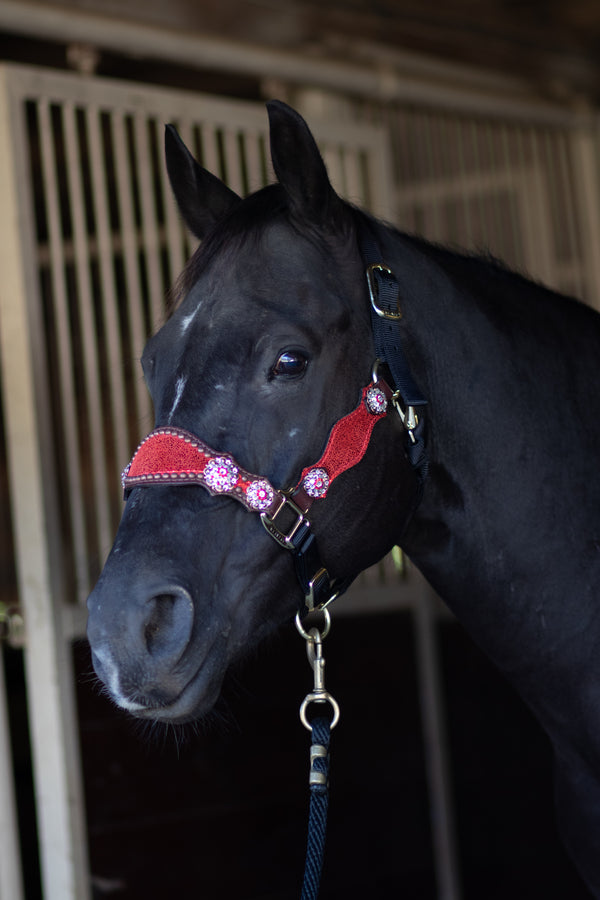 Custom Red Halter w/ Noseband and Cheek Pieces